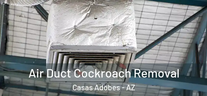 Air Duct Cockroach Removal Casas Adobes - AZ