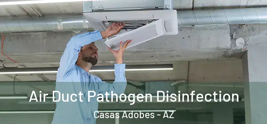  Air Duct Pathogen Disinfection Casas Adobes - AZ