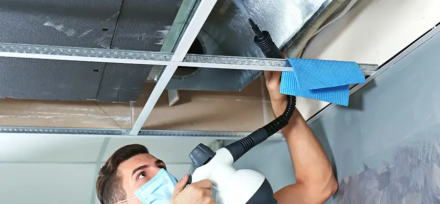 Our Air Duct Rodent Removal Services in Casas Adobes, AZ