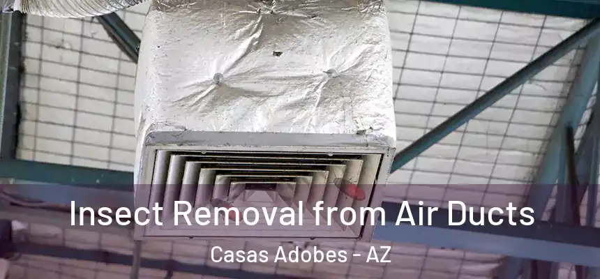  Insect Removal from Air Ducts Casas Adobes - AZ
