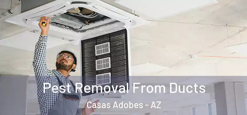  Pest Removal From Ducts Casas Adobes - AZ