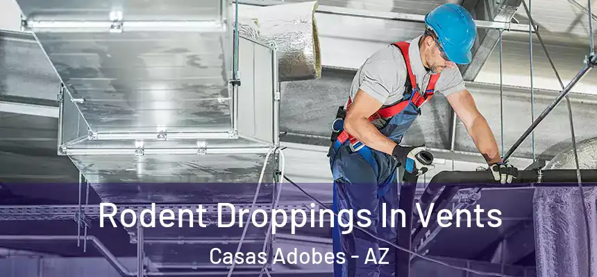  Rodent Droppings In Vents Casas Adobes - AZ
