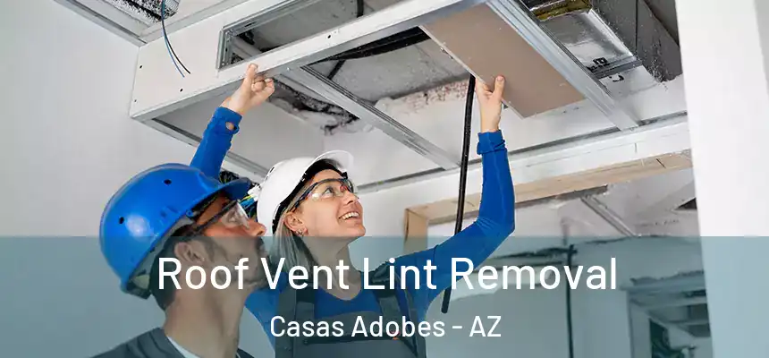 Roof Vent Lint Removal Casas Adobes - AZ