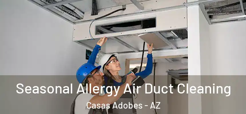  Seasonal Allergy Air Duct Cleaning Casas Adobes - AZ