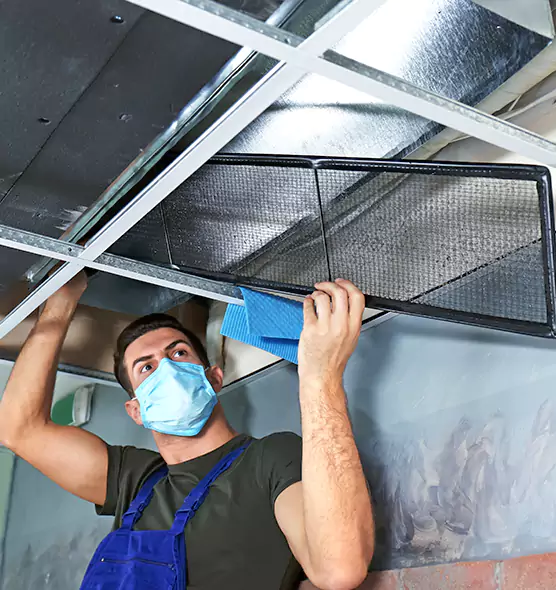 Professional Air Duct Pollen Cleaning in Casas Adobes, AZ
