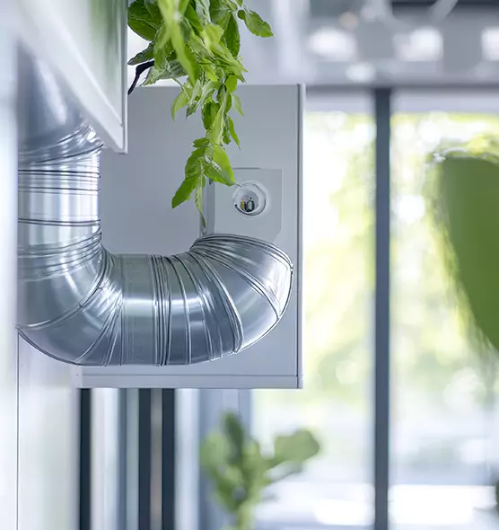 Professional Eco-Friendly Duct Cleaning Services in Casas Adobes, AZ