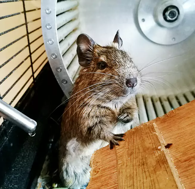 Why Homeowners & Businesses Trust Us Casas Adobes, AZ?