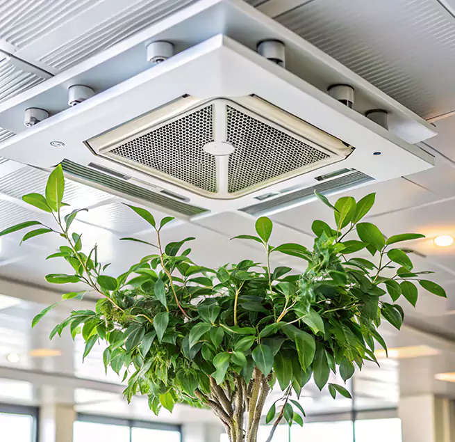 Why Homeowners & Businesses Trust Us in Casas Adobes, AZ