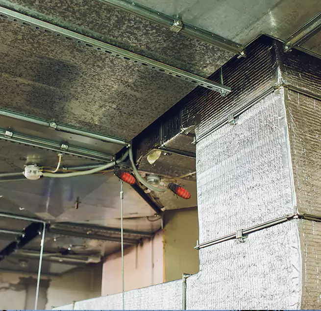 Why Homeowners & Businesses Trust Us Casas Adobes, AZ?