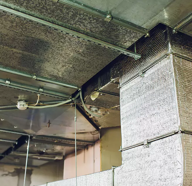 Why Homeowners & Businesses Trust Us in Casas Adobes, AZ?