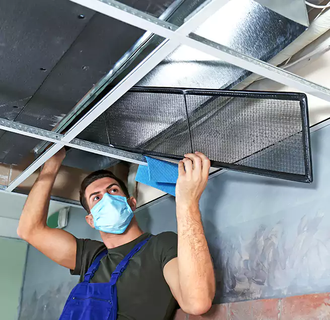 Why Homeowners Businesses Trust Us in Casas Adobes, AZ